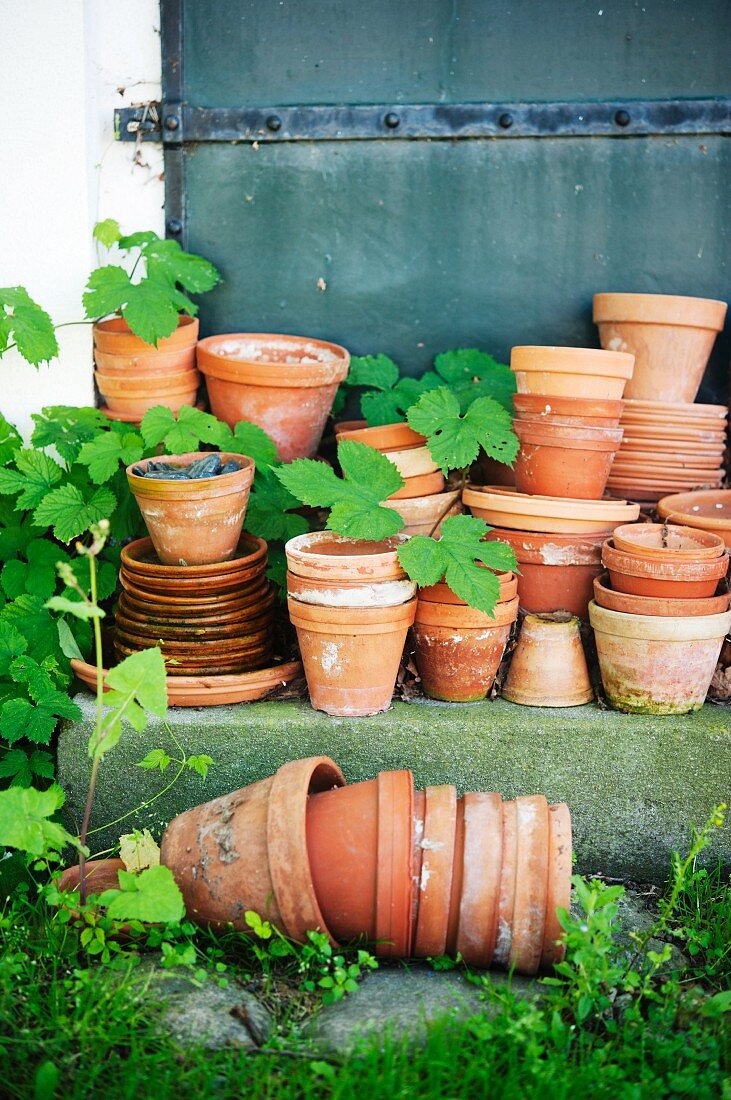 Empty terracotta pots on steps in front of old metal door