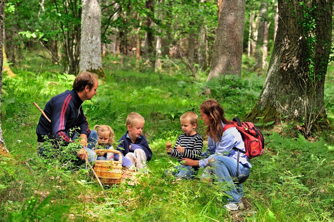 Junge Familie beim Pilze sammeln