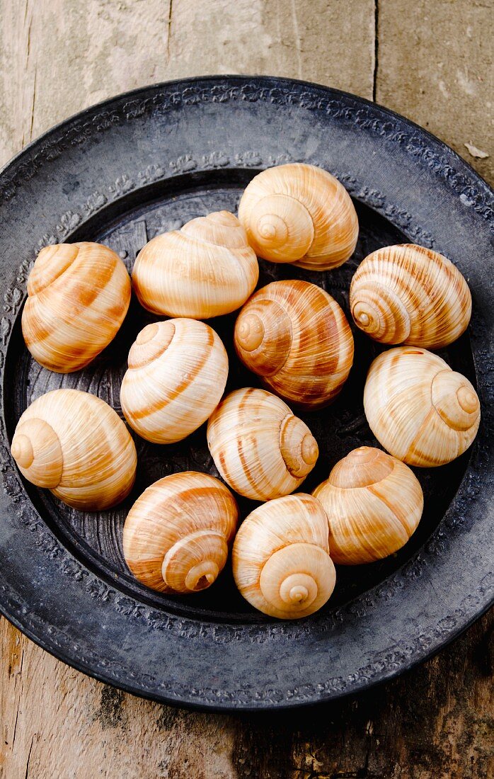 Weinbergschnecken auf Zinnteller