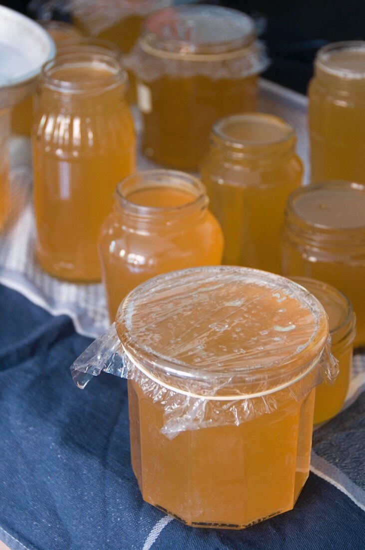 Jars of elderflower jelly