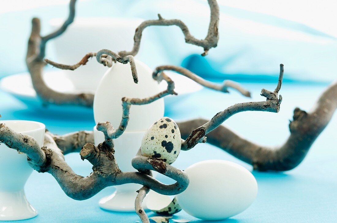 An Easter table decoration with eggs and corkscrew willow