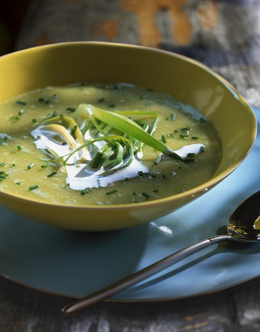 Creamy vegetable soup with spring onions and chives