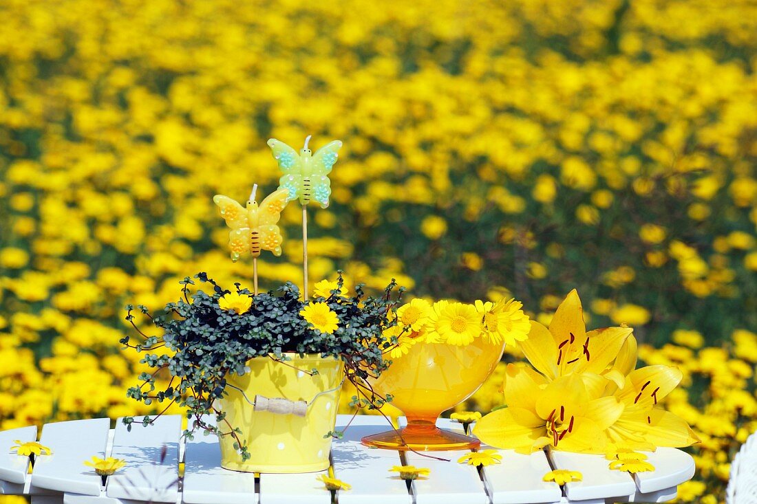 Gartentisch dekoriert mit gelben Blumen auf gelber Blumenwiese