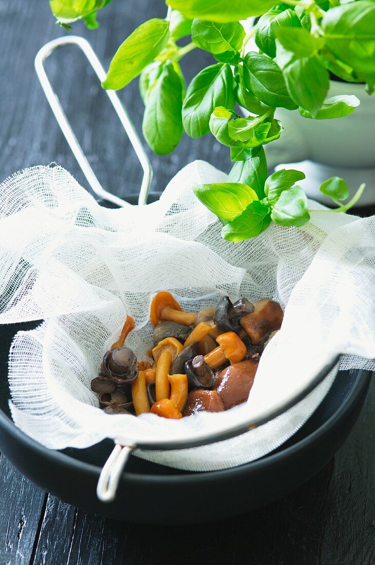 Assorted mushrooms in a muslin cloth in a sieve, and fresh basil