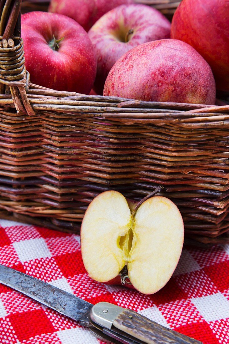 Apples (Royal Gala) in a basket with a knife on a checked picnic blanket