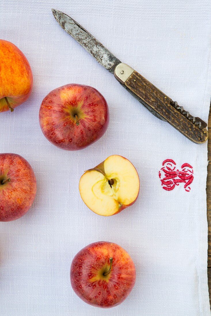 Apples (Royal Gala) with a knife on a tea towel