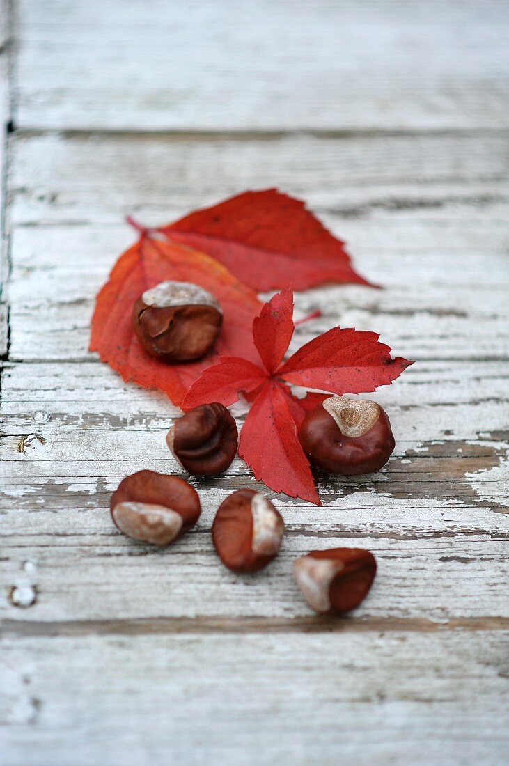Chestnuts and red leaves on a wooden surface