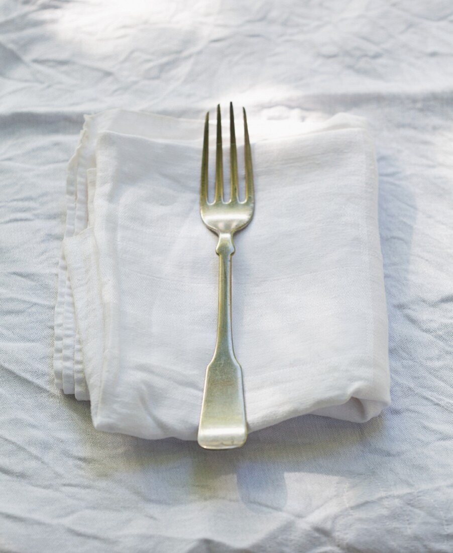 A Single Fork on a Folded Napkin