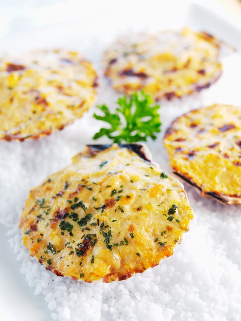 Scallops topped with cheese and parsley and baked in the shell
