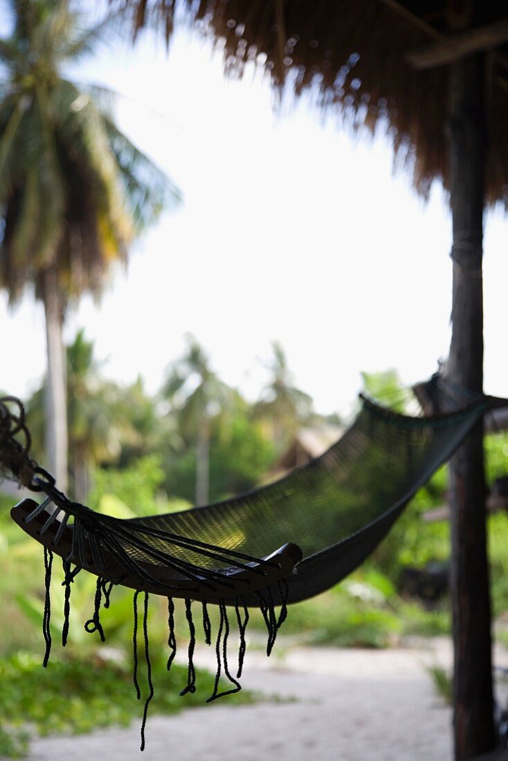 A hammock, Ko Lippe, Thailand.