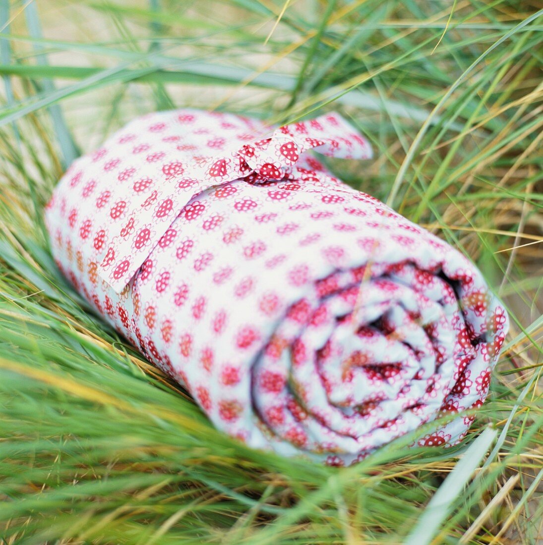 Close-up of rolled up blanket on grass