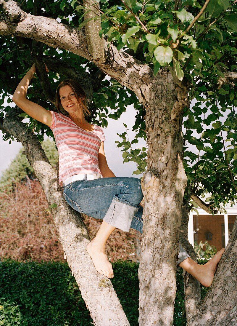 A woman in a tree.