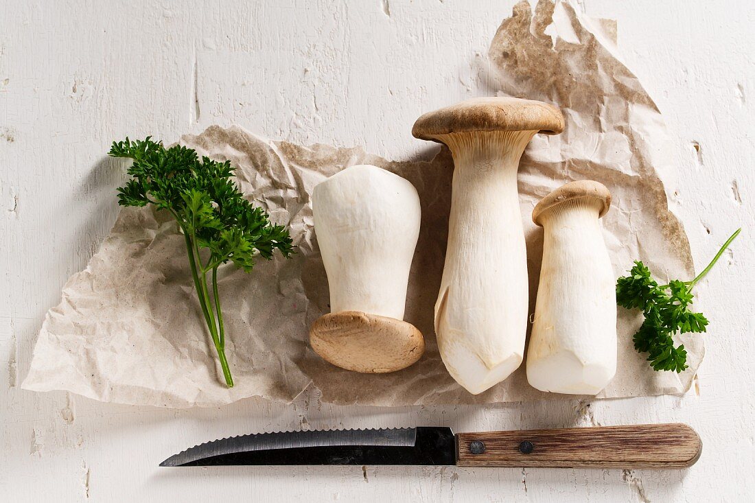 Kräuterseitlinge (Pleurotus eryngii) mit Petersilie auf Packpapier und Messer