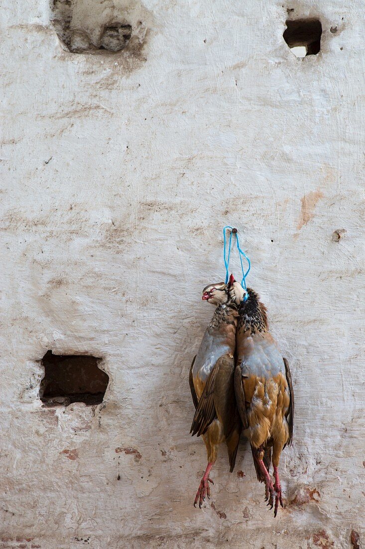 Rebhühner hängen an einer Hauswand