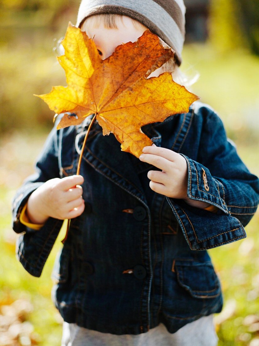 Little girl hiding face behind autumn leaf
