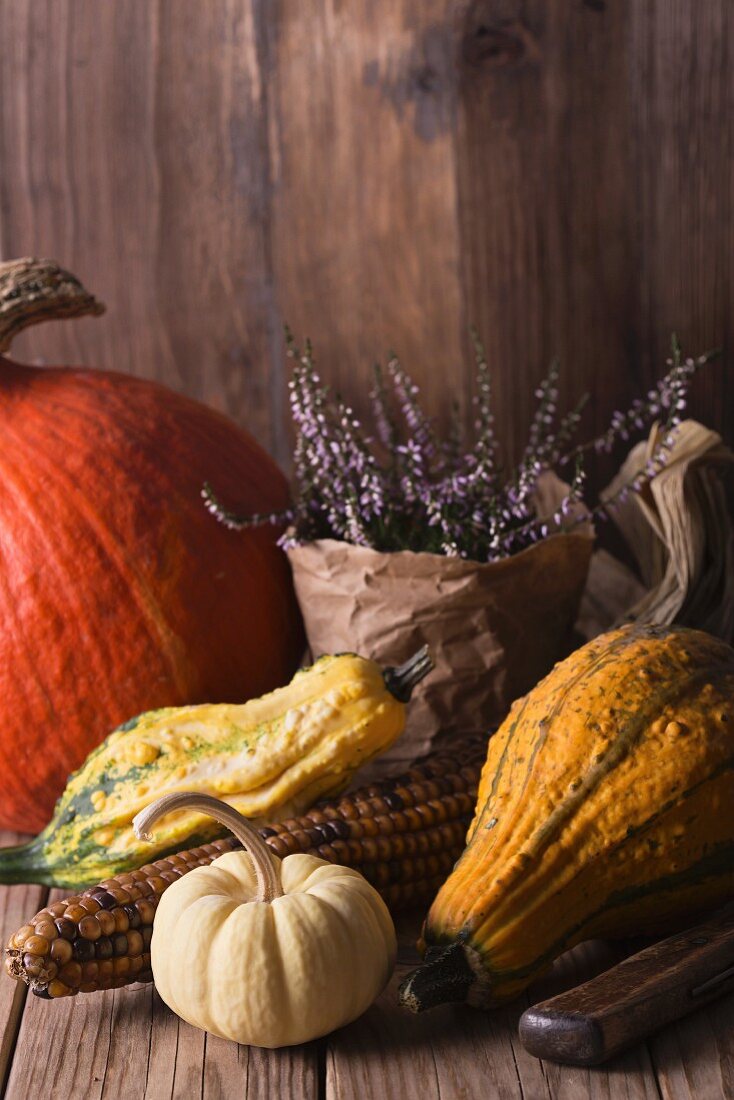 Autumn nature concept. Fall fruit on wood.