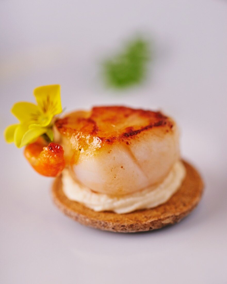 A pancake topped with a fried scallop