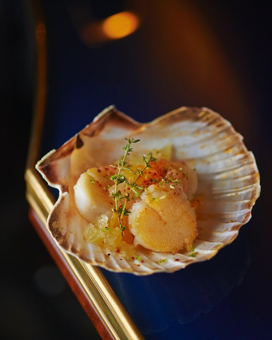 Scallops with jelly and thyme in a scallop shell