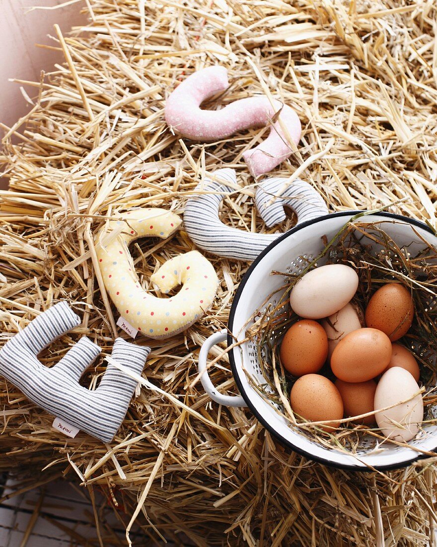 Frische Bio-Eier im Küchensieb und Stoffbuchstaben EGGS auf Stroh