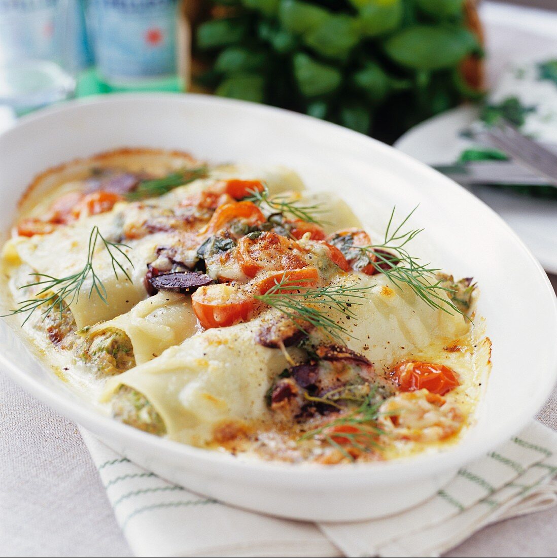 Cannelloni with tomatoes, olives and dill