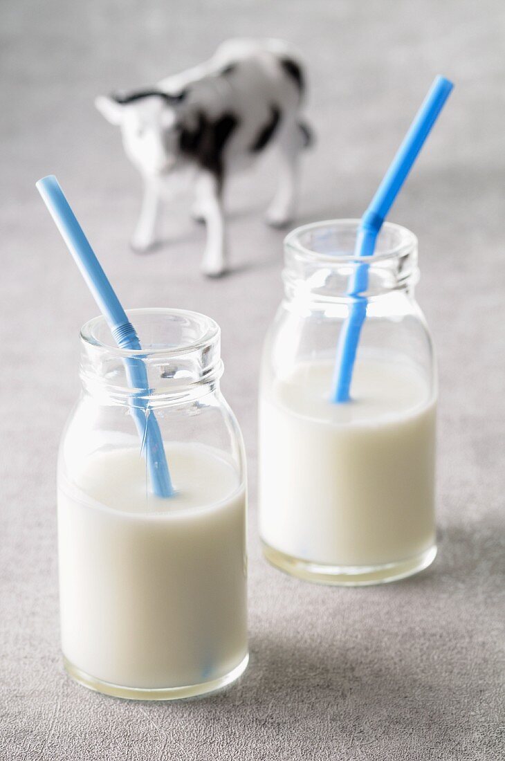 Zwei Milchflaschen mit Strohhalmen vor einer Kuhfigur