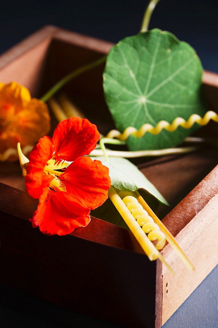 Nasturtiums and assorted pasta in a wooden box