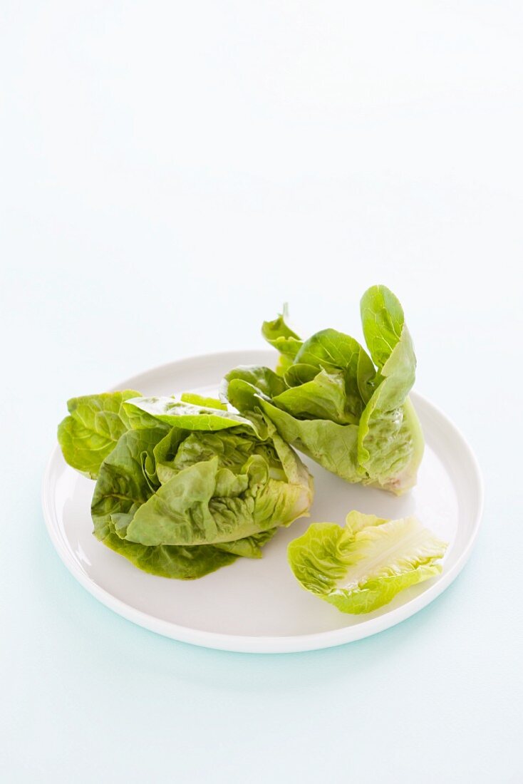 Lettuce on a White Plate