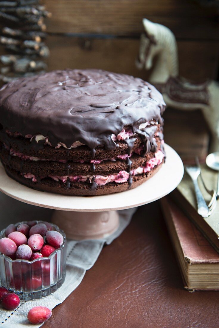 Chocolate layer cake with cranberries, for Christmas