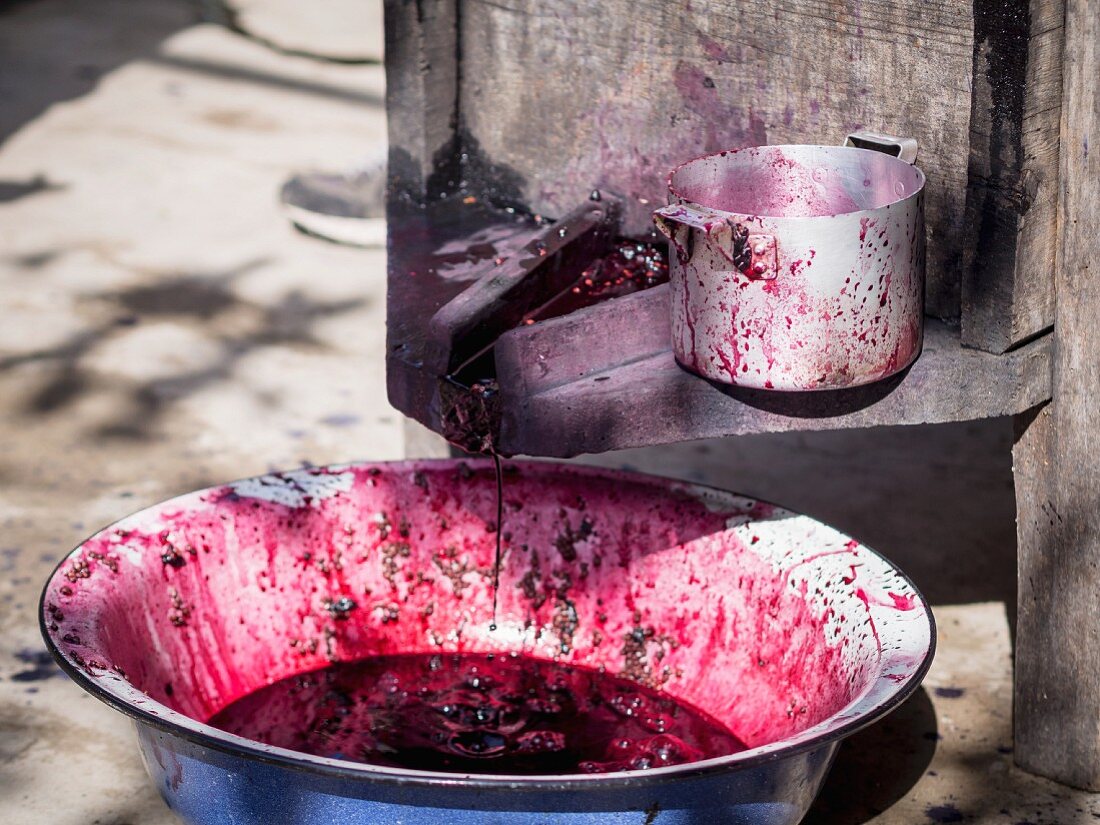 Traditionelle Weinbereitung - Saft aus Trauben, die mit den Füssen zerquetscht werden