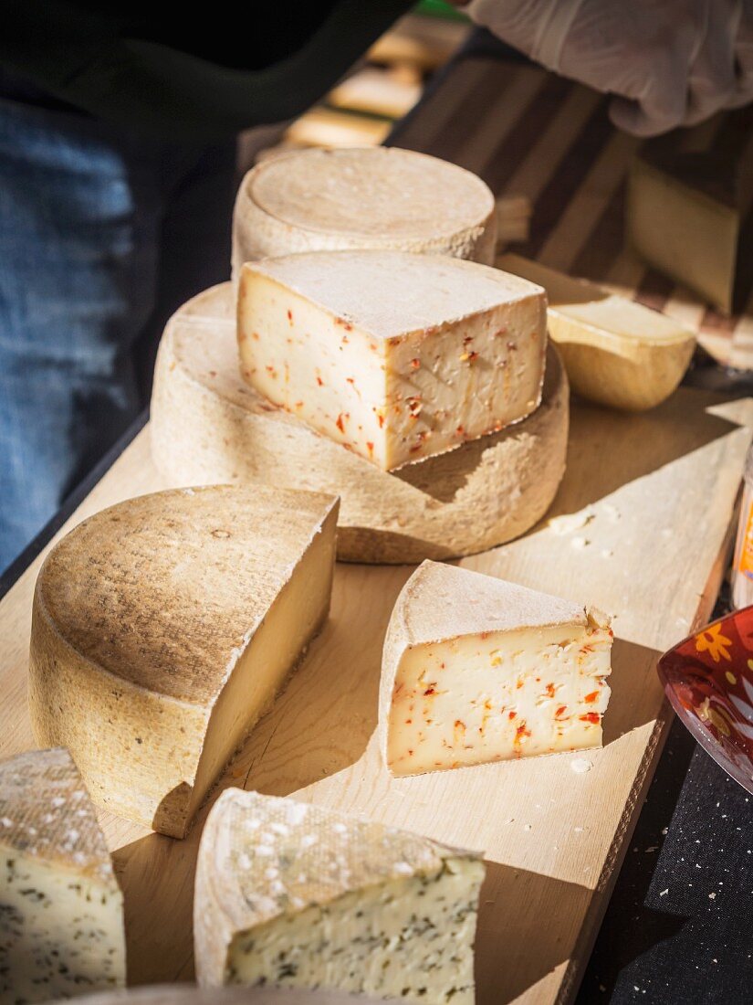 Assortment of Georgian cheeses.