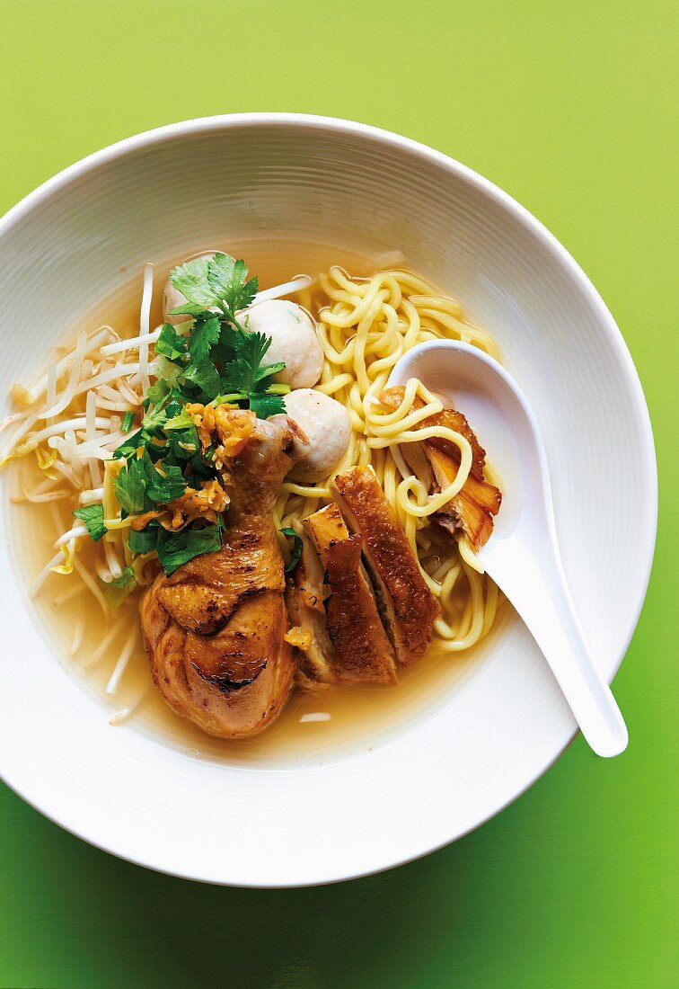 Chicken with egg noodles (Asia)