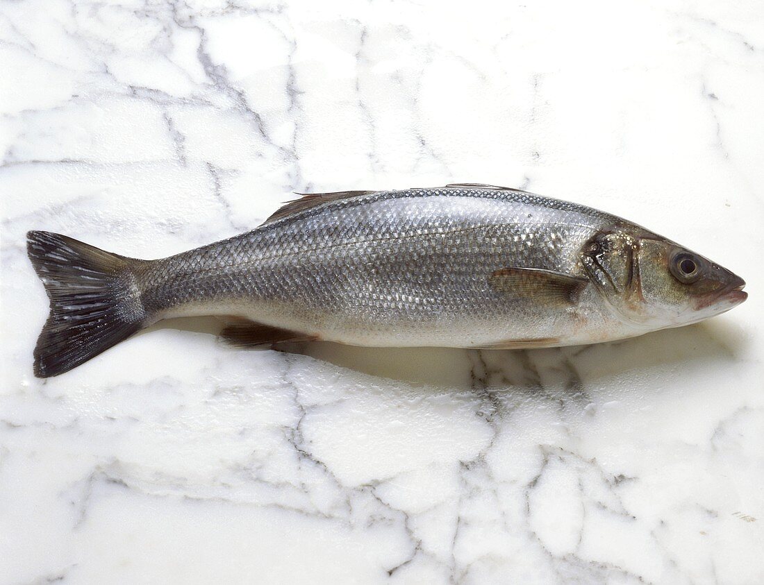 Whole Sea Bass