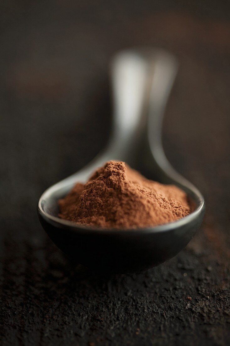 Cocoa powder in a porcelain spoon