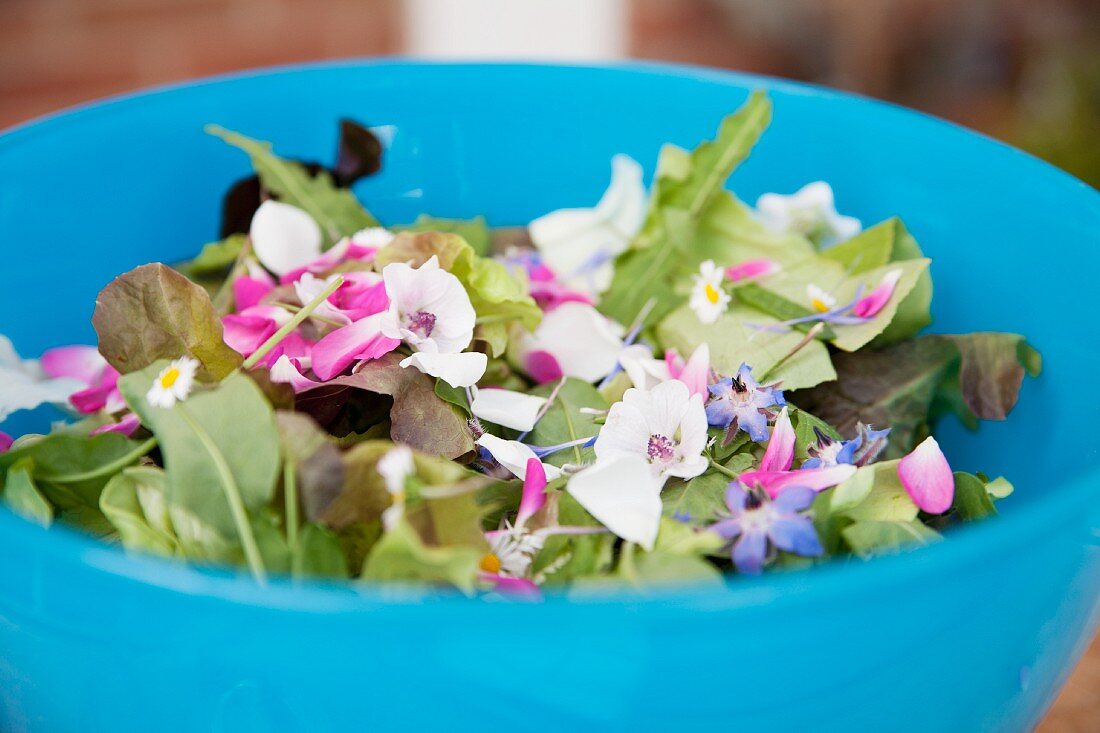 Gemischter Blattsalat mit Essblüten in einer Schüssel