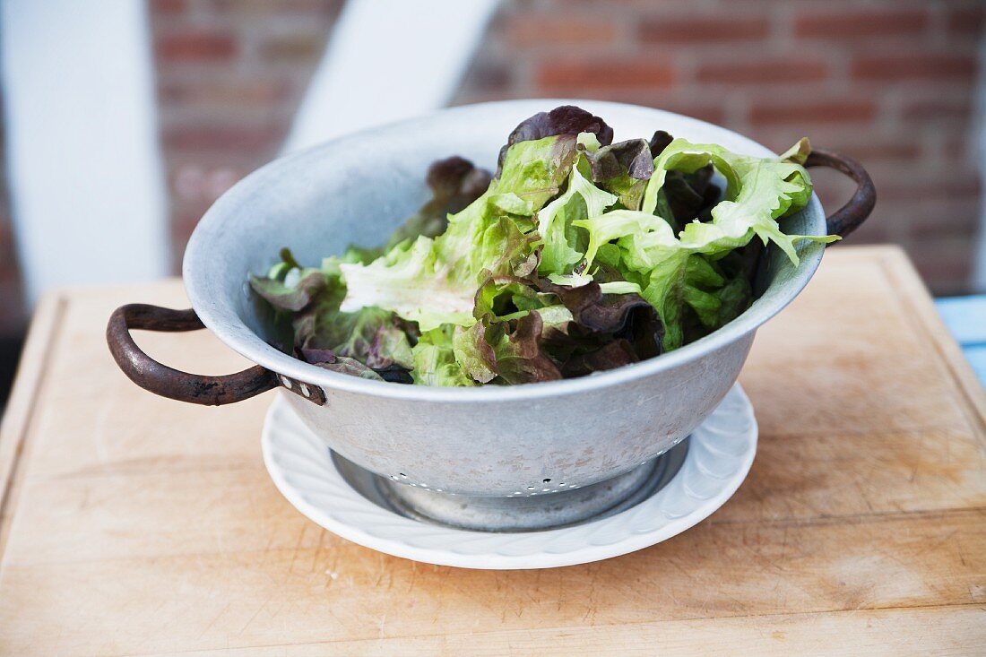 Frisch gewaschene Salatblätter im Küchensieb