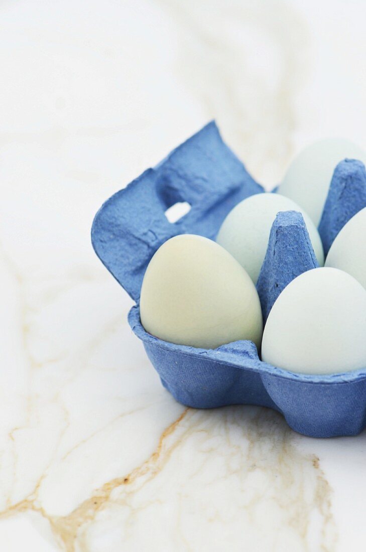 Pastellblaue Eier im Eierkarton auf Marmorplatte