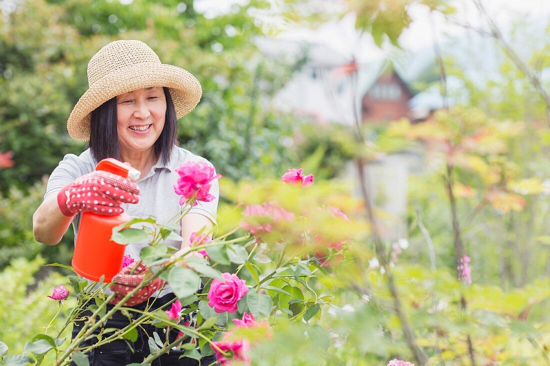 Frau mit Sonnenhut beim Pflegen eines Rosenbusches im Garten