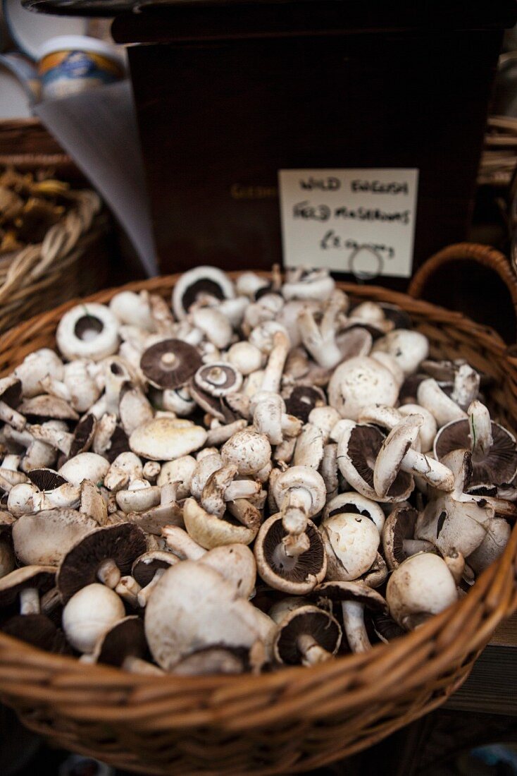 Fresh mushrooms in a basket at the market