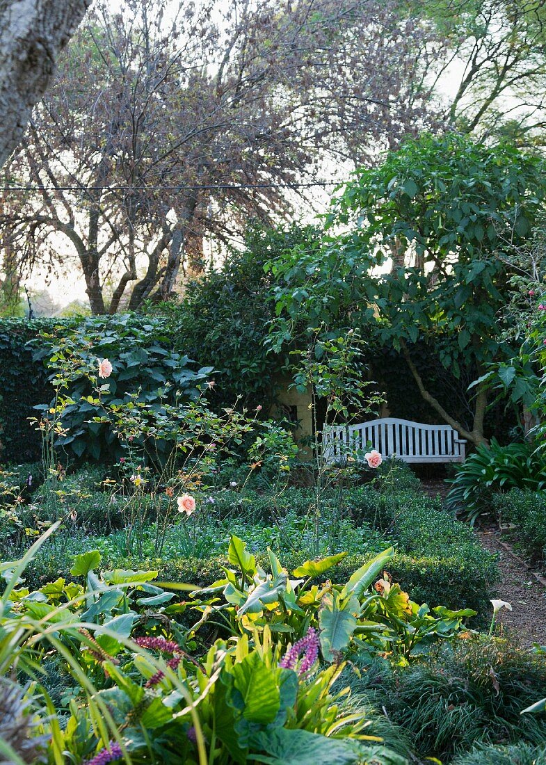 Sommerlicher Garten mit weisser Gartenbank in schattiger Gartenecke