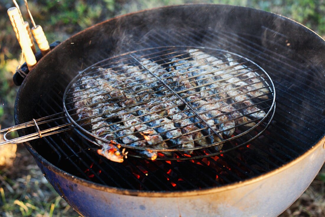 Sardines being barbecued