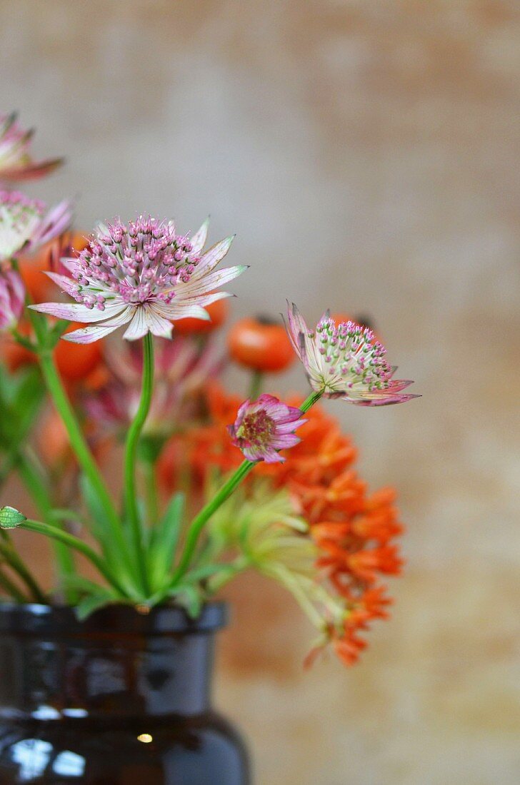 A bunch of pink and orange flowers in a brown vintage jar