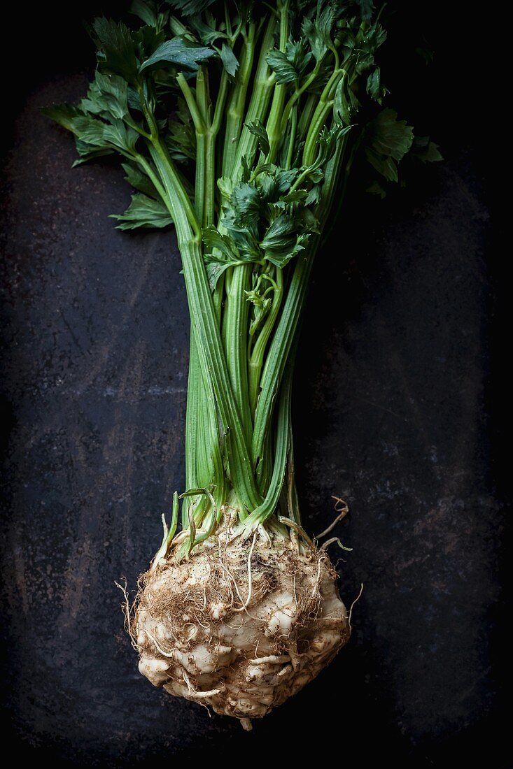 A fresh celeriac root