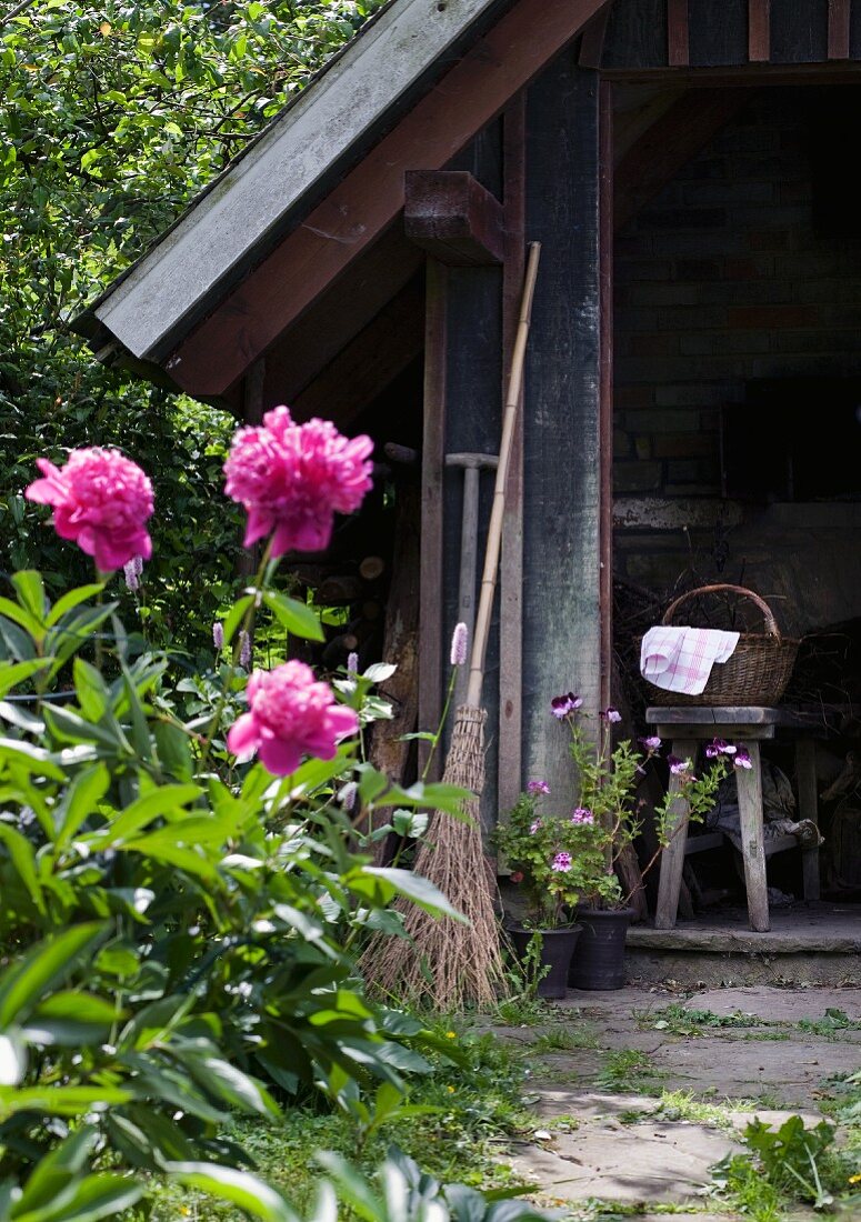 Pink peonies in front of wood-fired bread oven in hut and old besom broom