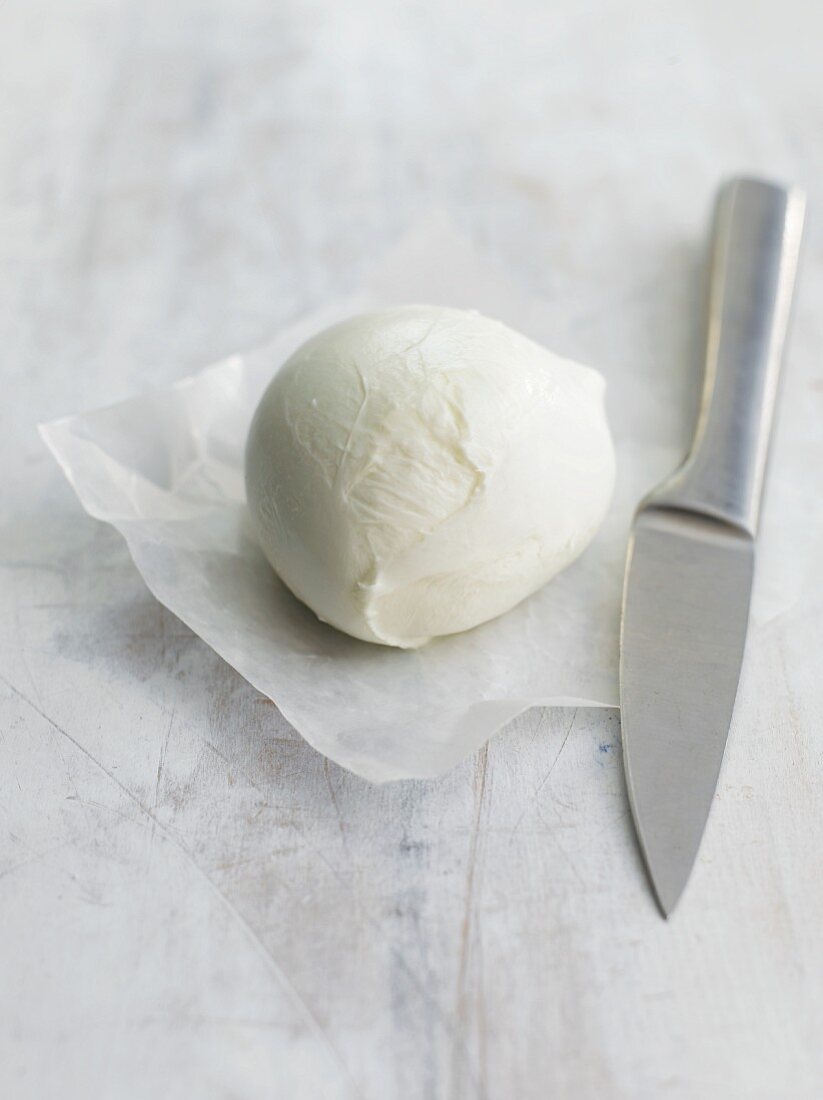 Buffalo mozzarella on paper with a knife