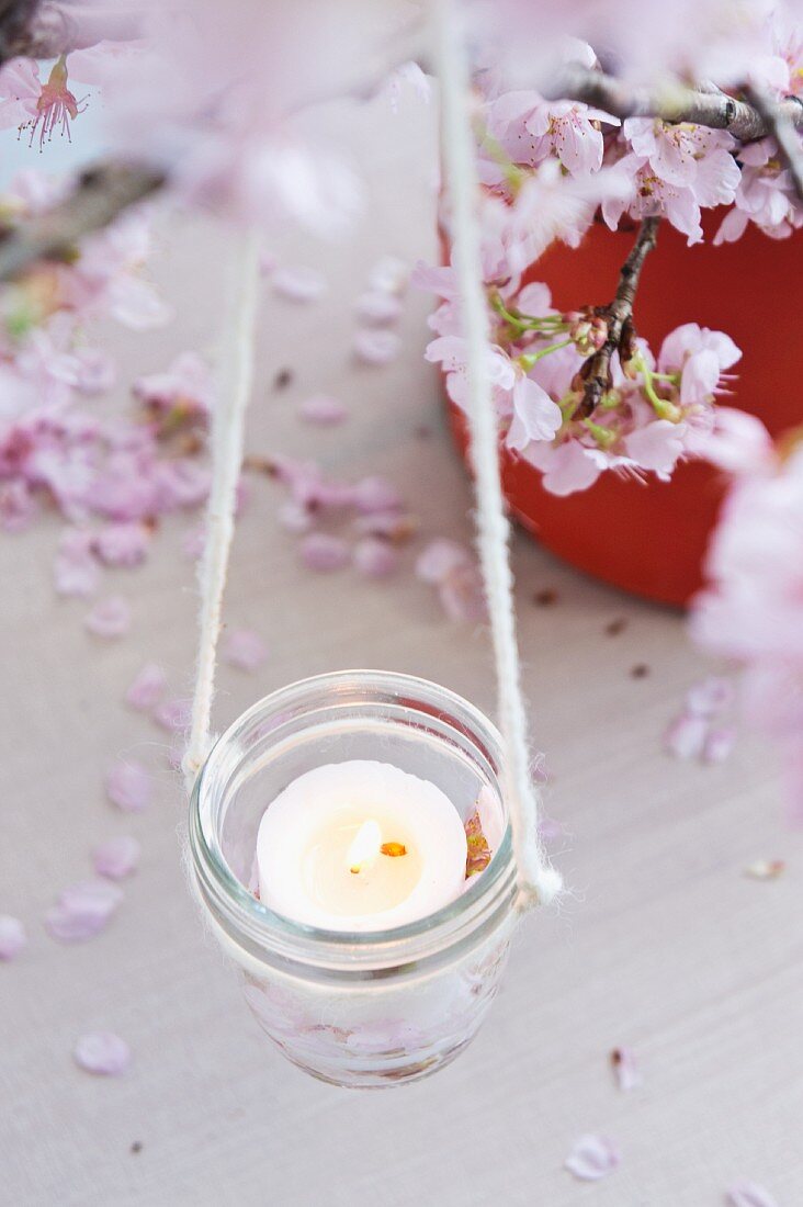 Candle lantern hanging from blossoming cherry branch