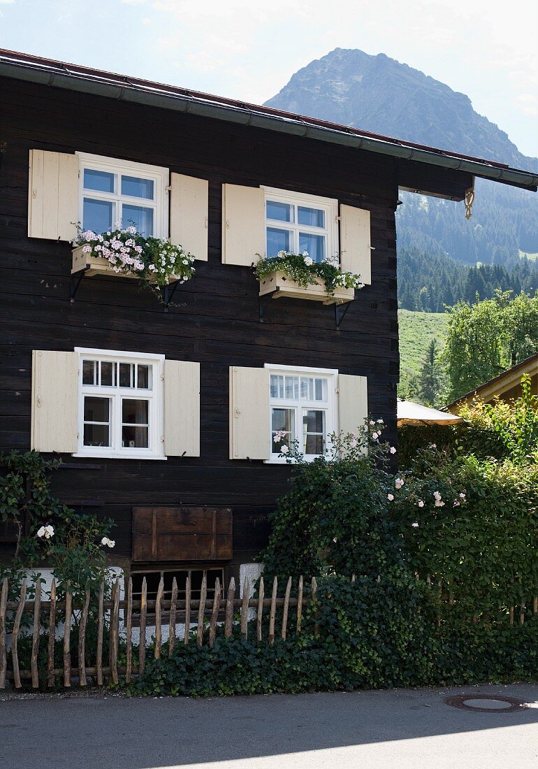 Dunkles Holzhaus mit Blumenkästen an Fenster und helle Holzläden, im Hintergrund Berglandschaft