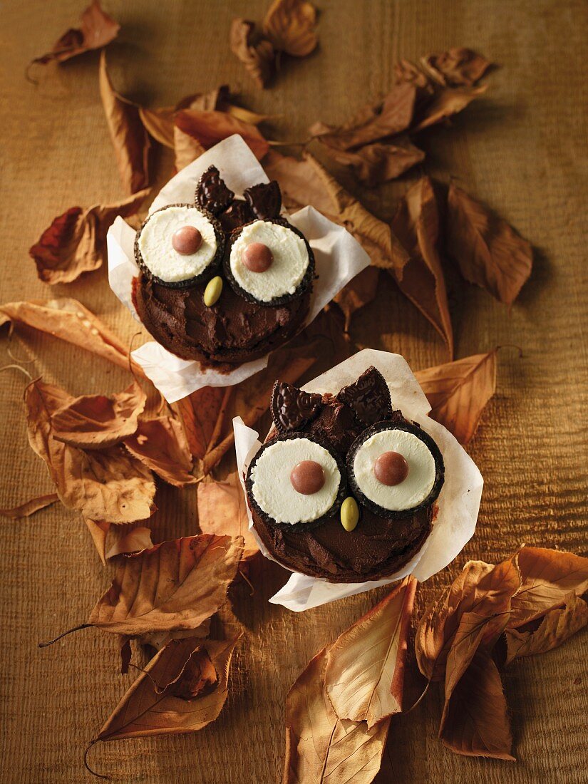 Owl cupcakes surrounded by autumn leaves