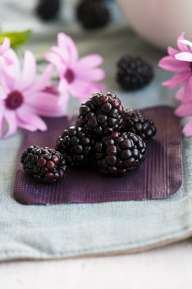 Brombeeren und rosa Margheriten