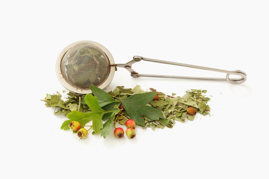 Hawthorn leaves, fresh and dried, with a tea strainer
