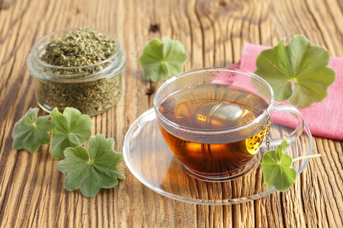 Lady's mantle tea with a tea ball in a glass cup